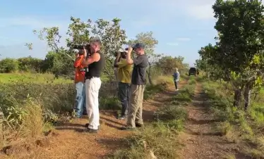 guyana birding on a budget tour
