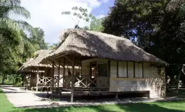 rewa eco rainforest lodge