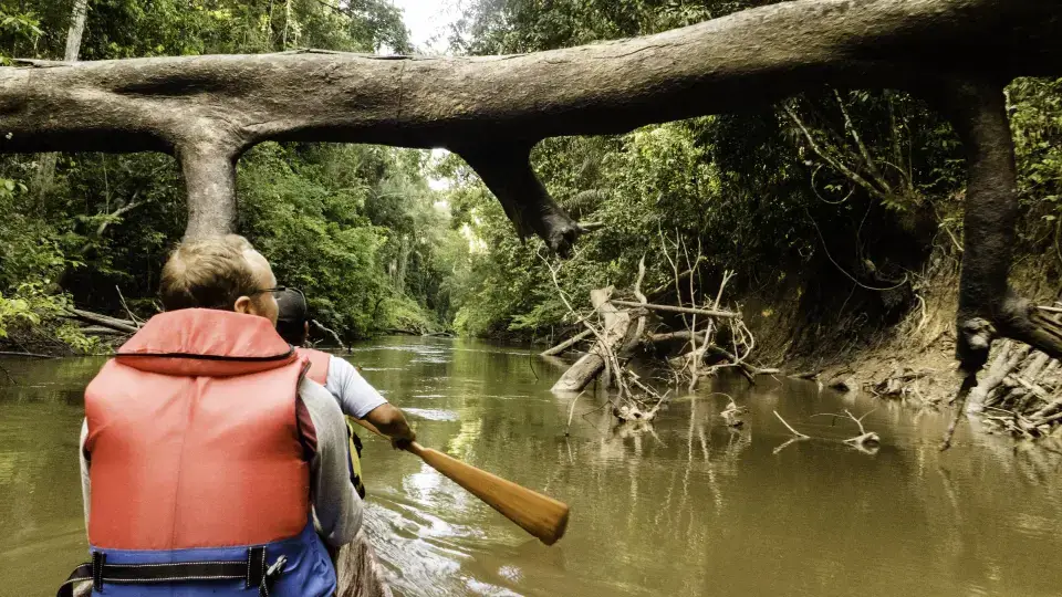 Surama-Eco-Lodge-4-1