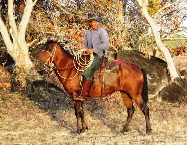 b362e3_fcc9ab69da574fd68f72e863c2db3755~mv2_d_1822_1415_s_2