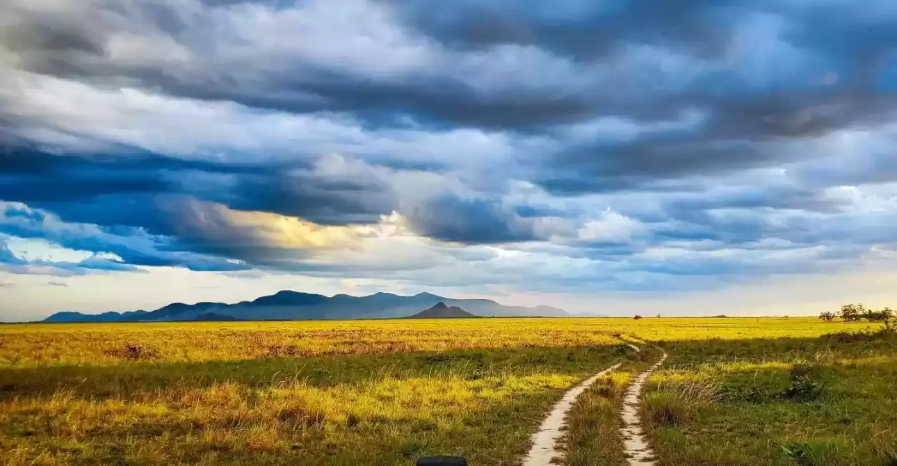 Saddle-Mountain-Ranch-23.jpg_compressed-1